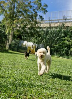 555541128_10240769266676109_4924367325291720889_n (1).jpeg